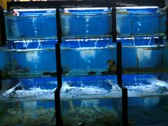 水产区-老东镇啤酒屋海鲜加工·蒸汽海鲜·海鲜烧烤(台东店)