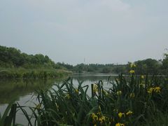 -白鹭湾湿地公园