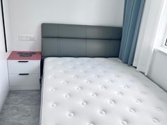 -红星美凯龙(上海沪南店)