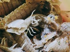 -港畔赶海蒸汽海鲜烧烤自助(仙螺岛店)