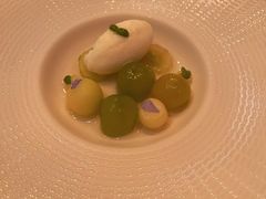 -蝶舍·MAISON PAPILLON