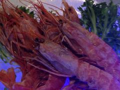 -杭州钱江新城万怡酒店-西餐厅