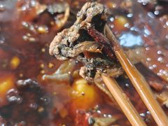 -黑竹香鸡(营和巷店)