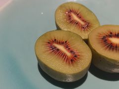 -柴门·头啖汤(天安千树店)