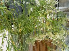 -甜莺蛋糕(顺盈时代广场店)