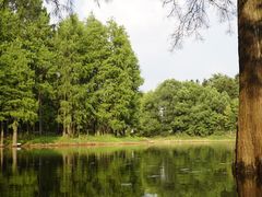 -青龙山国家森林公园