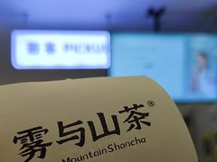 -雾与山茶(大禹城店)