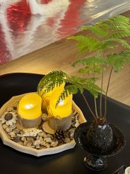 -栖SPA·ONDA ·海菲秀·皑皑科技美肤中心