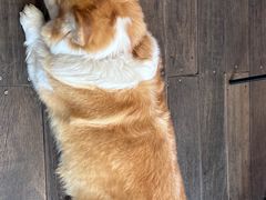 -肥朵食堂(带梦胡同店)