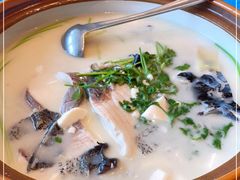 -老淳安—伴山伴湖(千岛湖开元度假村店)