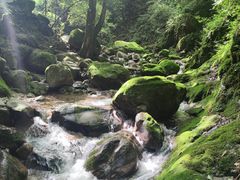 -牛背梁国家森林公园
