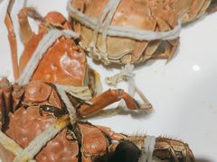 -杨氏青龙虾·羊蝎子(金盛路总店)