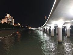 -演武大桥观景平台