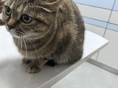 -中农国际动物医院24小时·猫科·骨科·急重症中心