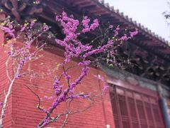 -洛阳白马寺