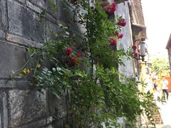 -花·fleur古董西餐厅(西城夜未央店)