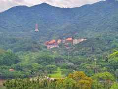 -深圳仙湖植物园