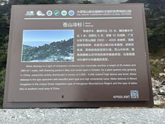 -苍山感通索道