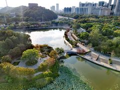 -月湖风景区