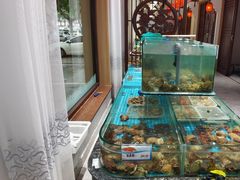 水产区-渔码头食府·20年蓬莱老字号(登州路店)