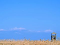-盐城丹顶鹤湿地生态旅游区