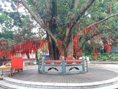 -南宁良凤江国家森林公园