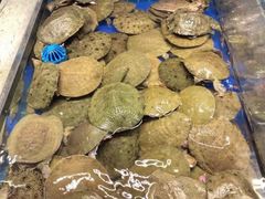 -黑金·寻焰自助百汇·烤肉·火锅(中街店)