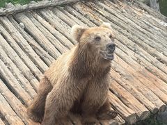 -济南野生动物世界