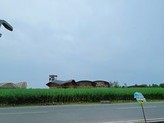 -中国天府农业博览园