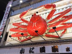 -蟹道乐(道顿堀本店)