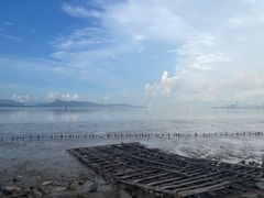 -深圳湾公园(南山区)