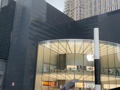 -Apple零售店(新街口店)