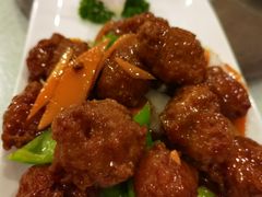 -宝发园名菜馆