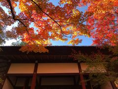 -常寂光寺