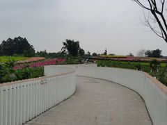 -天府芙蓉园