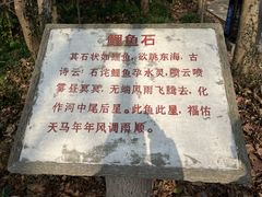 -上海佘山国家森林公园天马山园