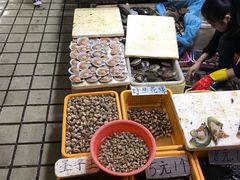 -蛇口市场