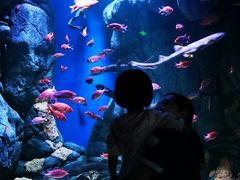 -成都浩海立方海洋公园