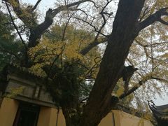 -无锡惠山寺
