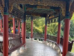 -洛龙公园