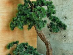 -喜茶(北京五棵松华熙店)