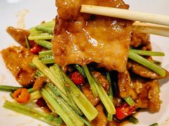 -雲蜀龙阁·金牌水煮鱼(方庄店)