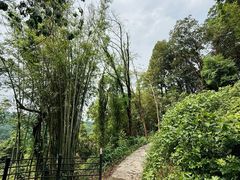 -广州市帽峰山景区
