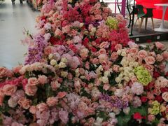 -杉杉奥特莱斯广场(哈尔滨店)