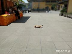 -太平禅寺