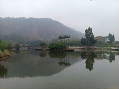 -南沙蒲洲花园