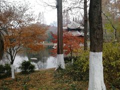 -习家池