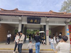 -西苑公园