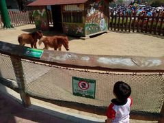 -大连森林动物园