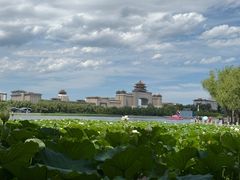 -莲花池公园